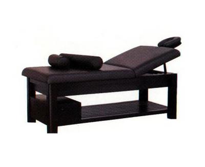 ZD-855  Professional Massage Facial Bed